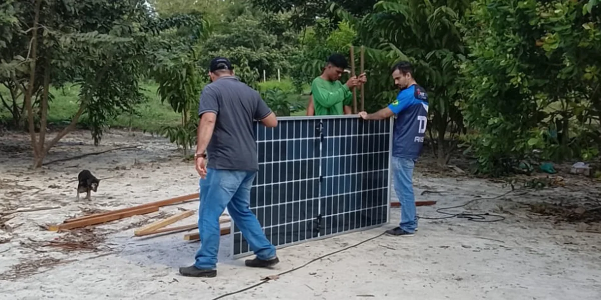 Painéis solares instalados em uma área arborizada